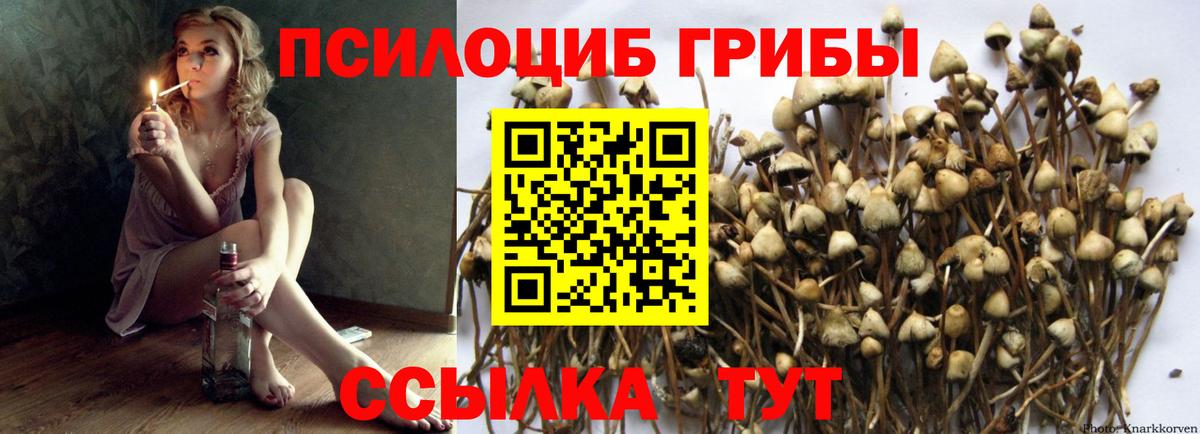 Галлюциногенные грибы ЛСД  Галлюциногенные грибы мицелий  Коломна  Вход с VPN 